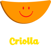 Empanada Criolla